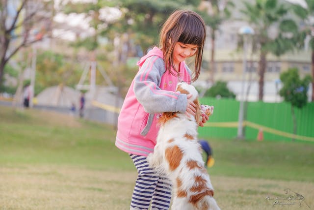 a-child-playing-with-a-puppy